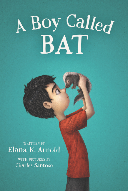 Boy Called Bat, A