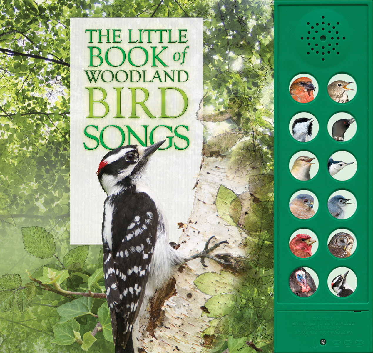 Little Book of Woodland Bird Songs, The