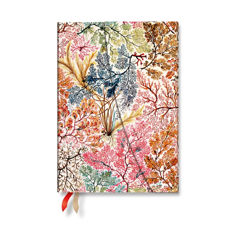 2027 Anemone Midi Vertical Hardcover 12-Month Weekly Planner, 160pg, 100GSM by Paperblanks (William Kilburn)