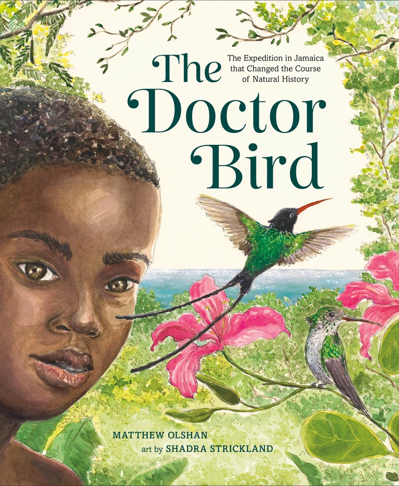 The Doctor Bird
