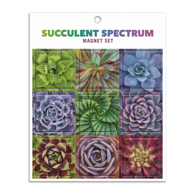 Succulent Spectrum Magnet Set