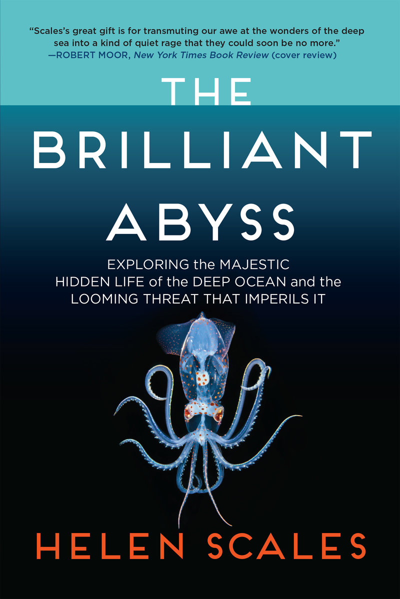 The Brilliant Abyss