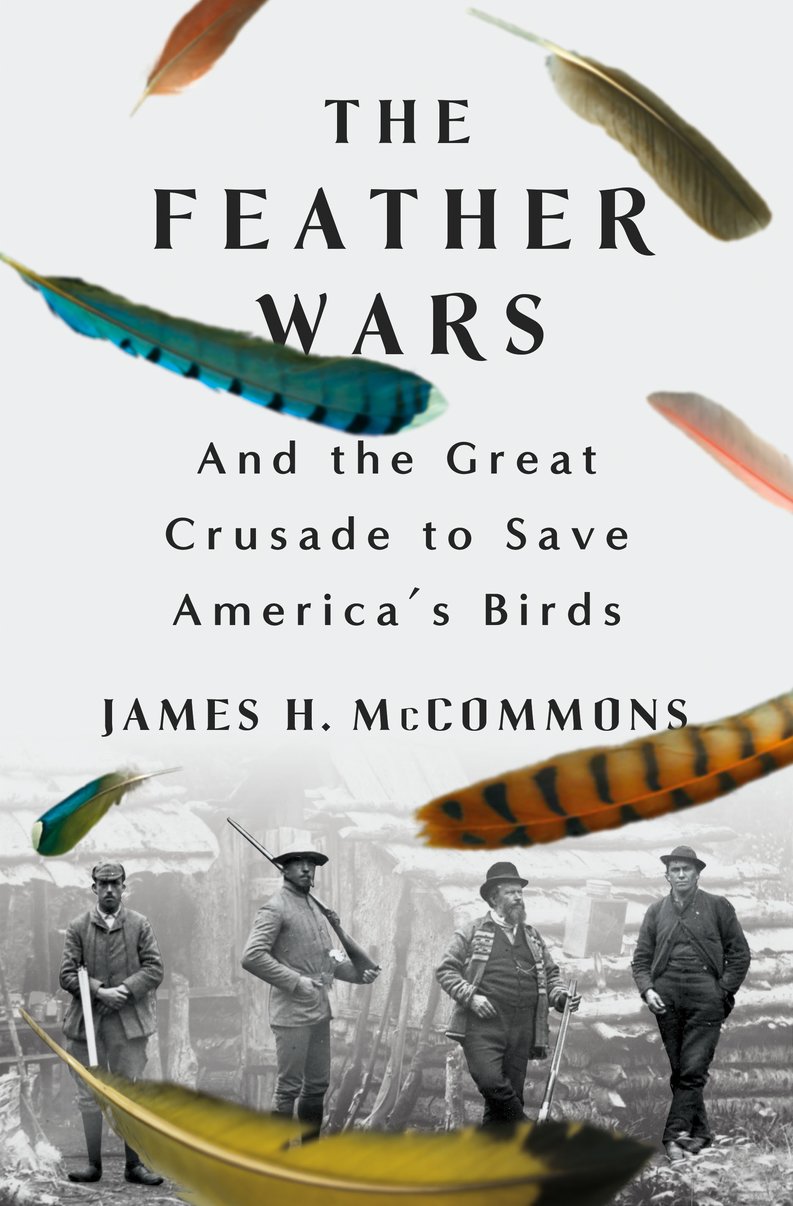 The Feather Wars