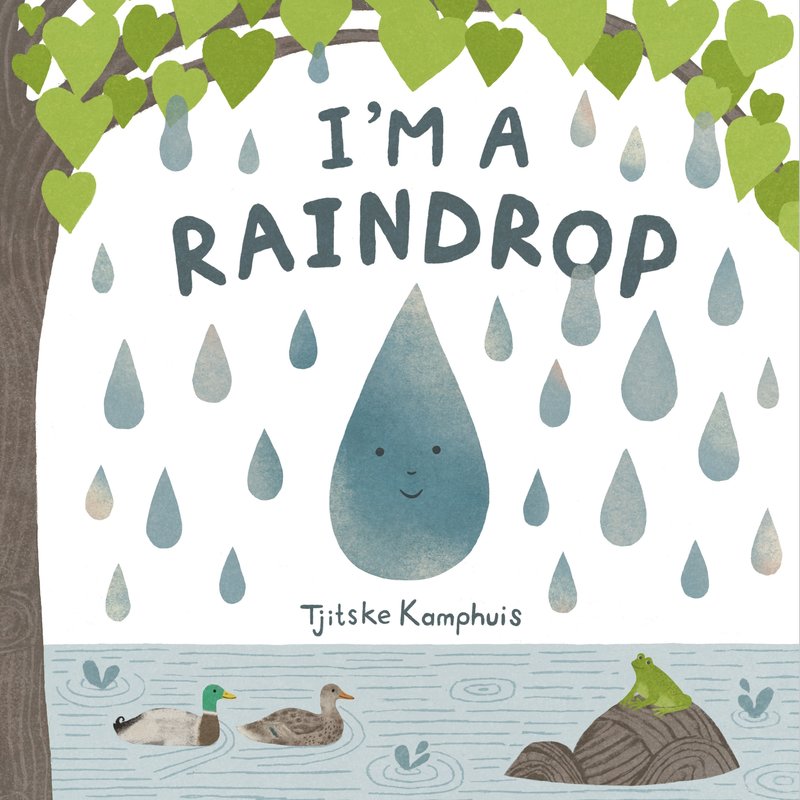 I'm a Raindrop
