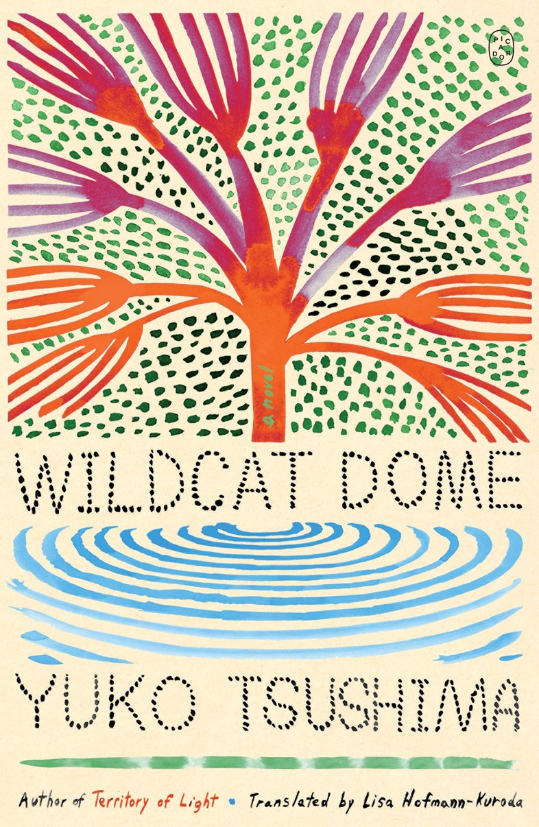 Wildcat Dome