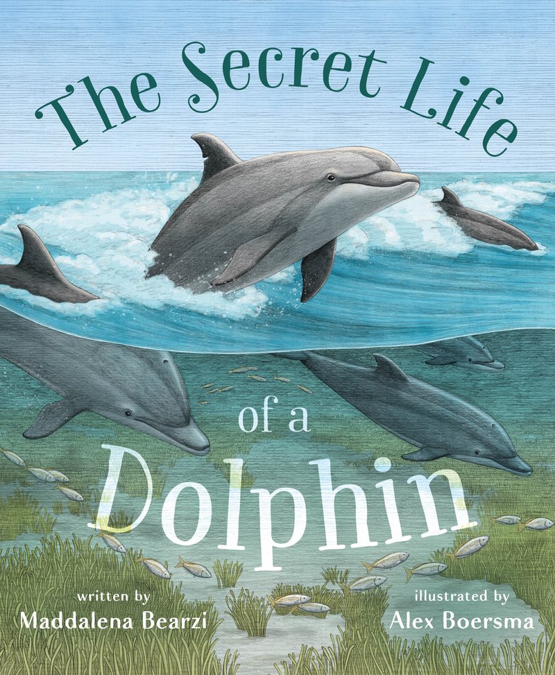 The Secret Life of a Dolphin
