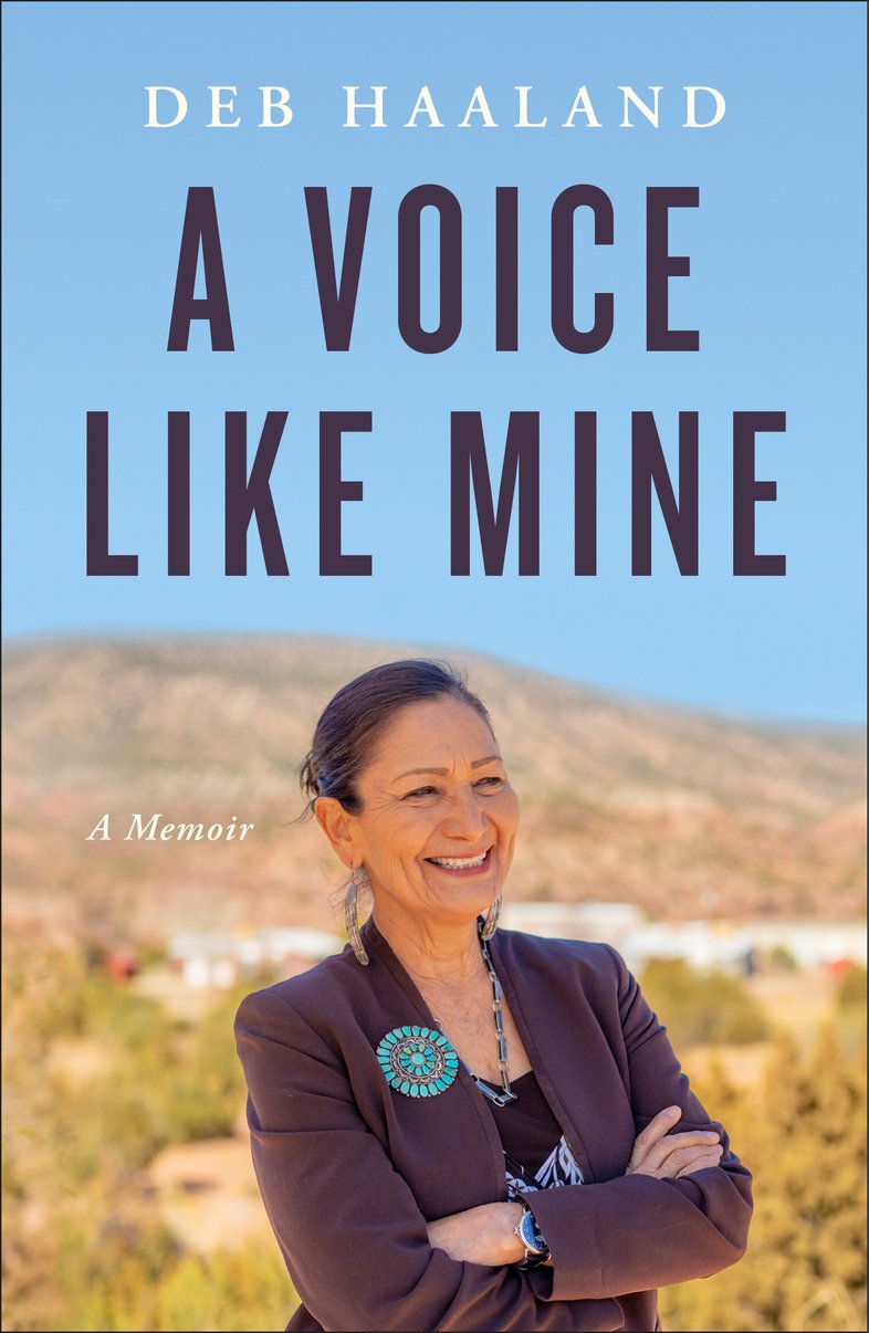 A Voice Like Mine
