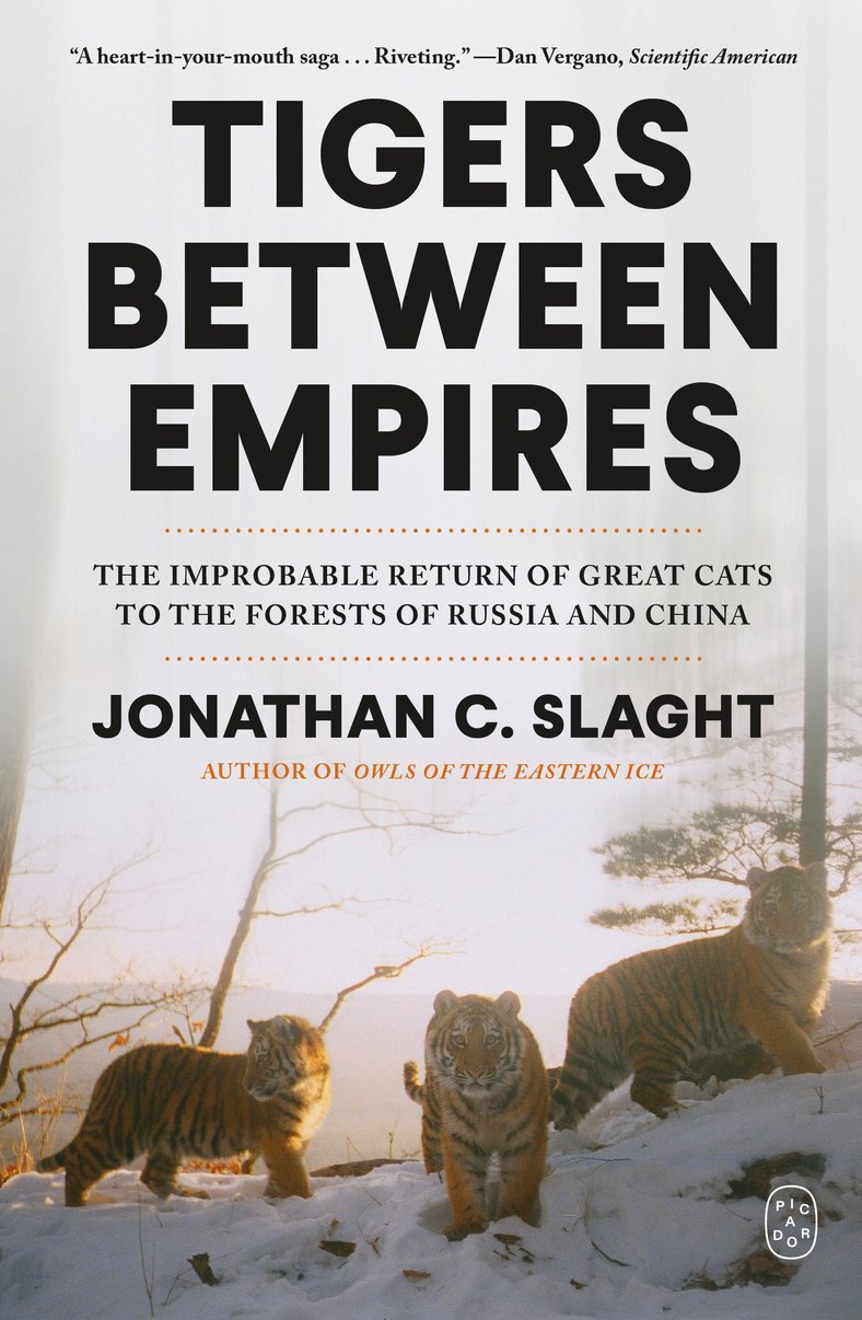 Tigers Between Empires