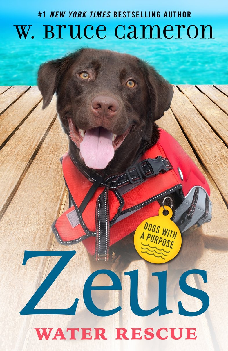 Zeus: Water Rescue