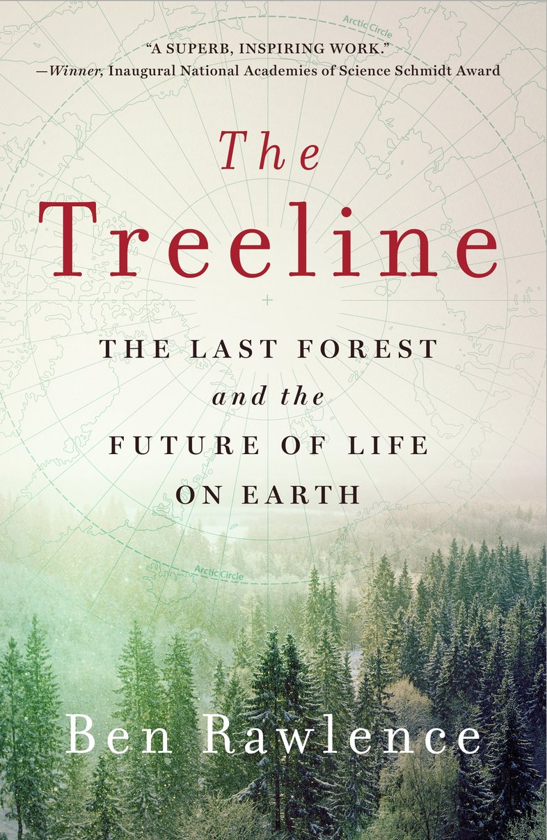 The Treeline