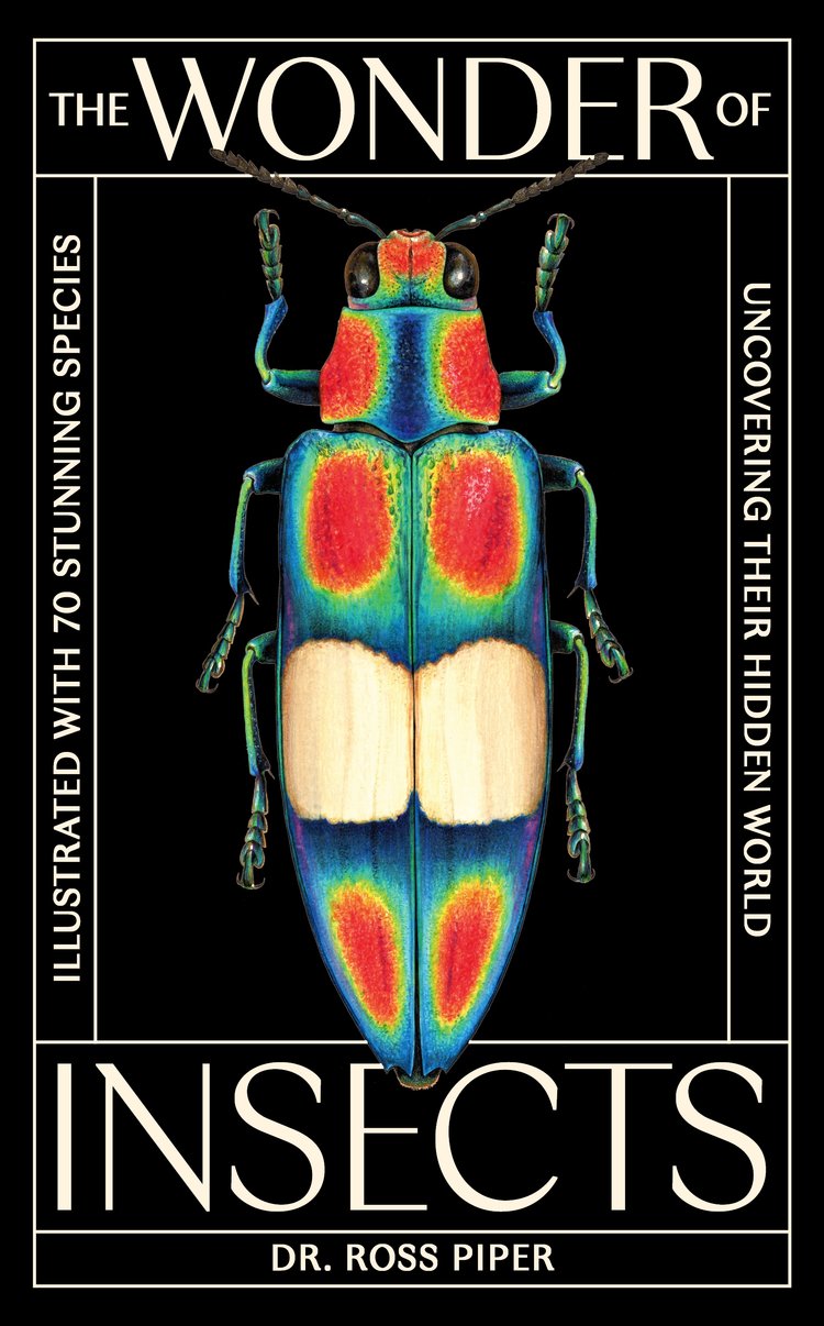 The Wonder of Insects: Uncovering their Hidden World