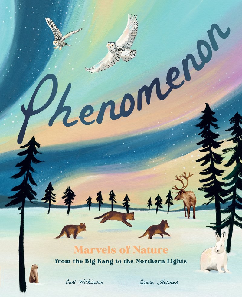 Phenomenon