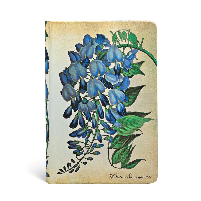Blooming Wisteria Mini Lined Hardcover Journal, 176pg, 85GSM by Paperblanks (Painted Botanicals)