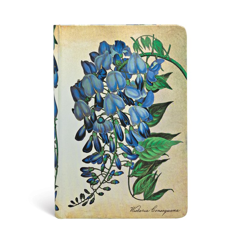 Blooming Wisteria, Painted Botanicals, Hardcover, Mini, Lined, Elastic Band Closure, 176 Pg, 85 GSM