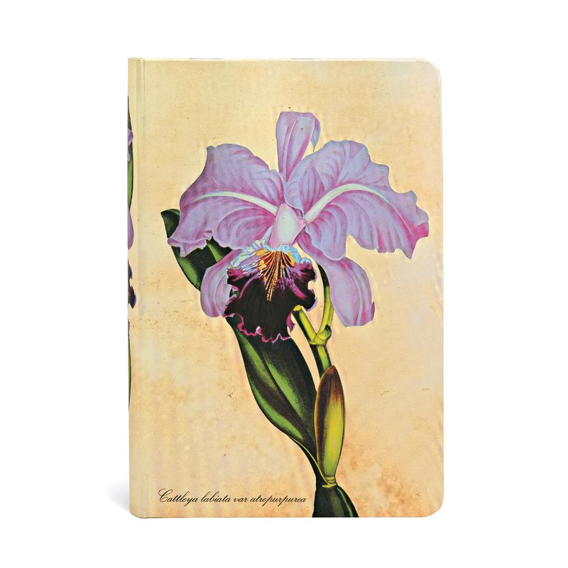 Brazilian Orchid, Painted Botanicals, Hardcover, Mini, Lined, Elastic Band Closure, 176 Pg, 85 GSM