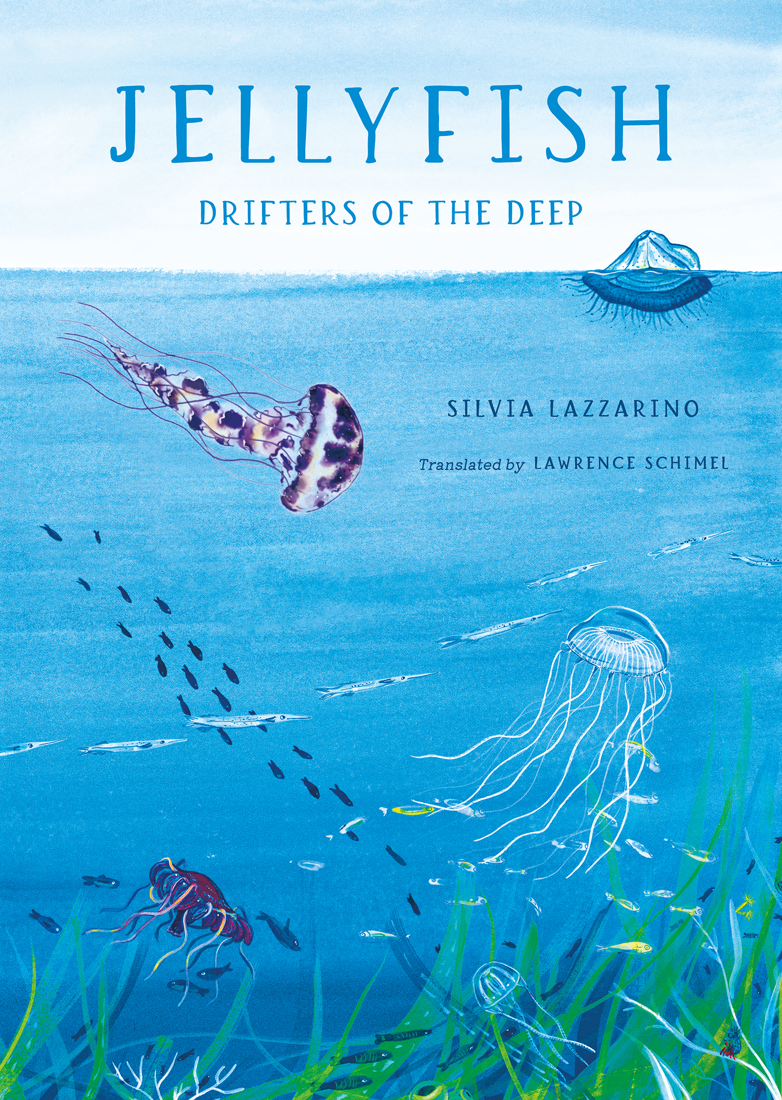 Jellyfish