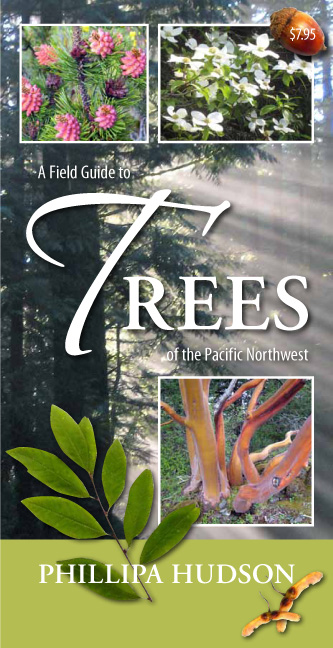 Field Guide to Trees of the Pacific Northwest