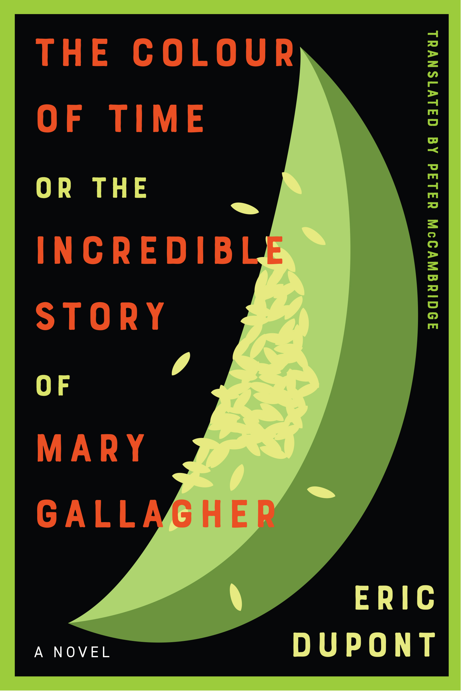 The Colour of Time, or the Incredible Story of Mary Gallagher