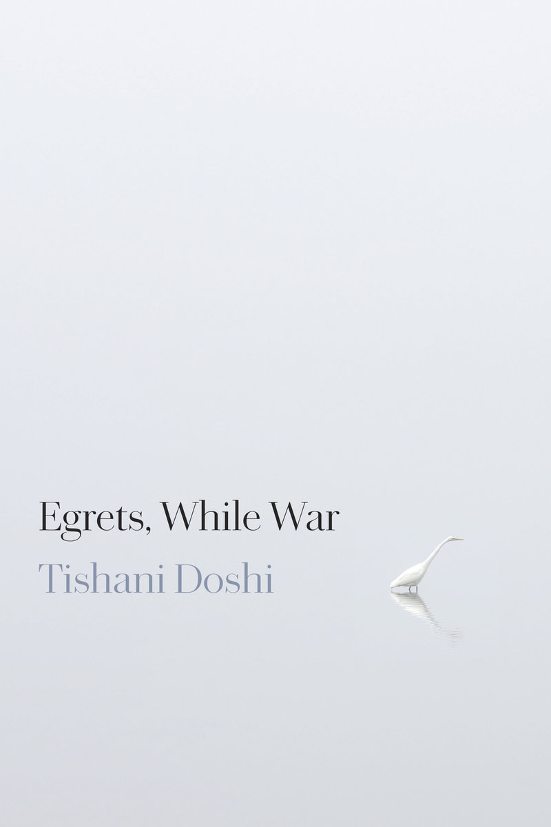 Egrets, While War