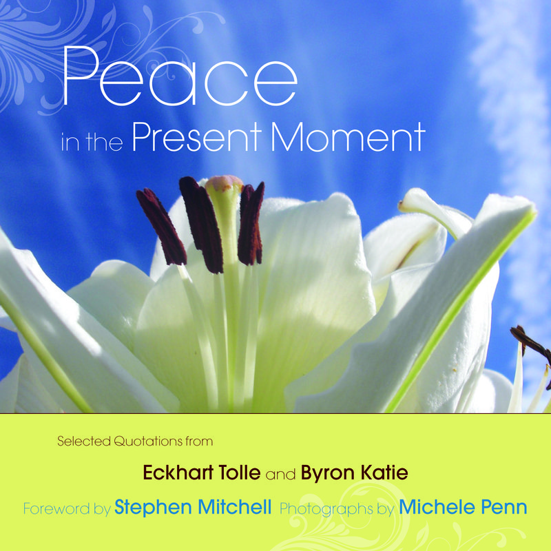 Peace in the Present Moment