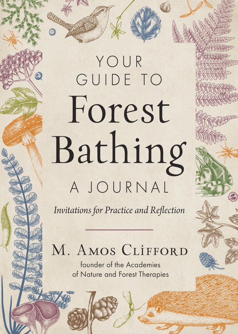 Your Guide to Forest Bathing - A Journal