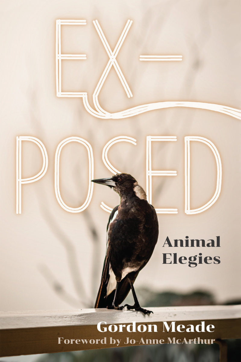 EX-Posed