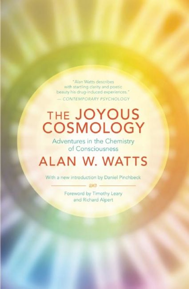 The Joyous Cosmology