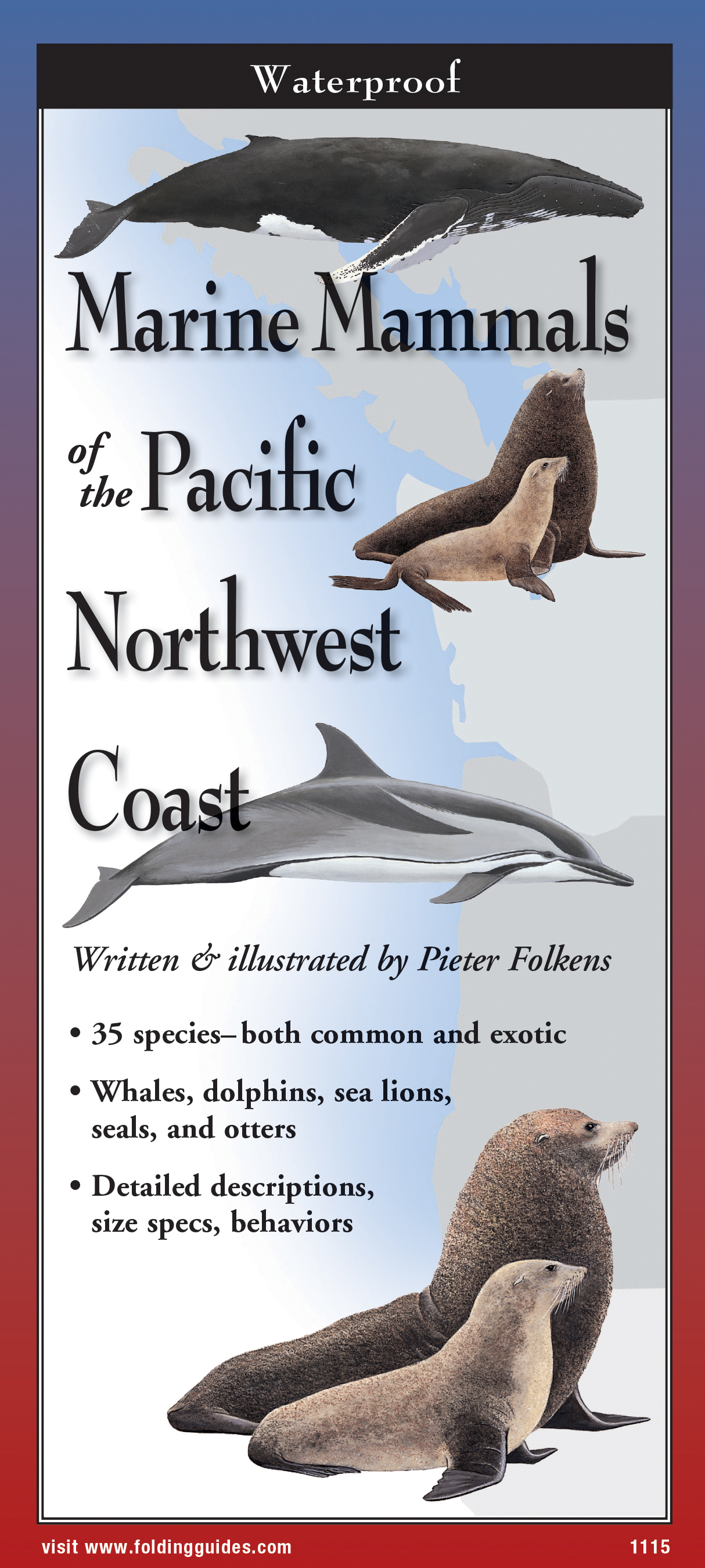 Marine Mammals of the Pacific Northwest Coast - Folding Guide