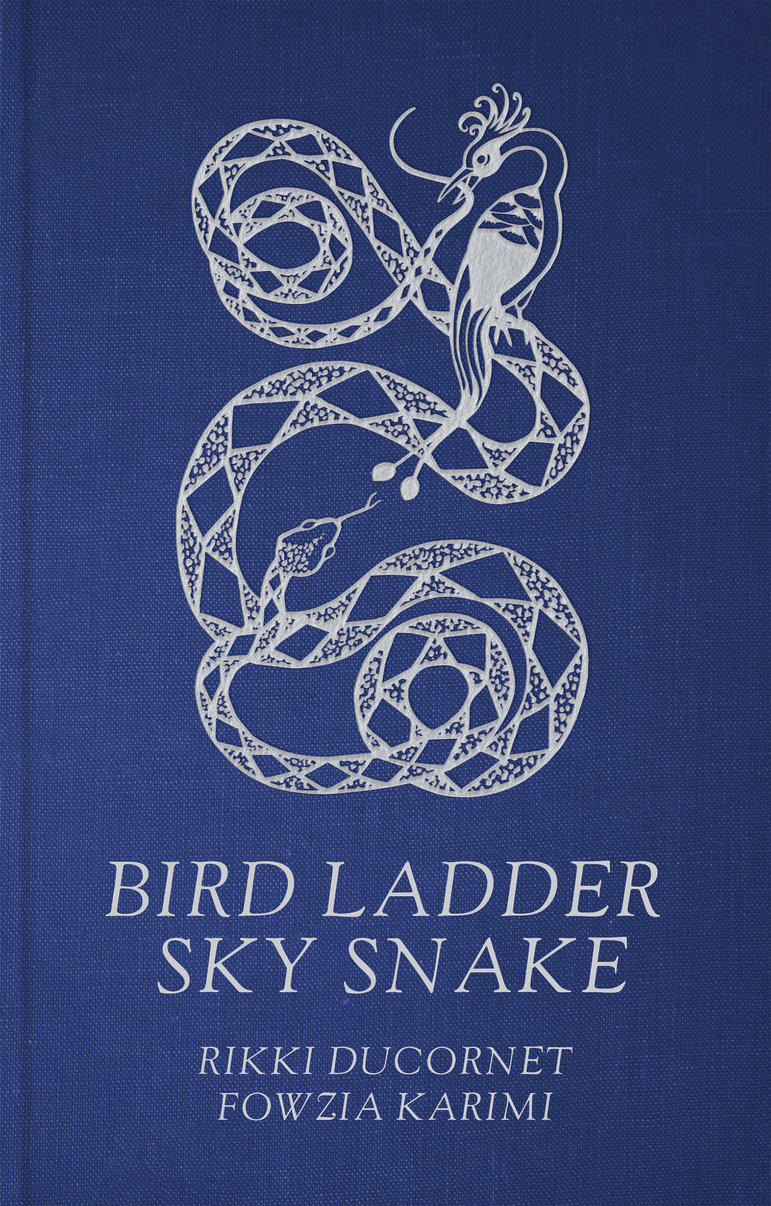 Bird Ladder Sky Snake