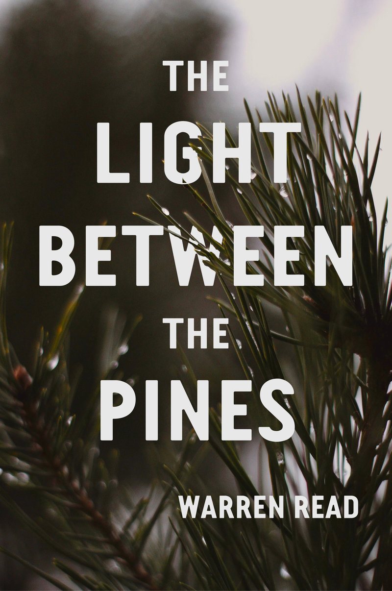 The Light Between the Pines