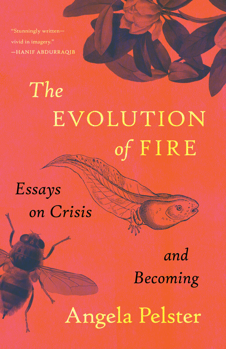 The Evolution of Fire
