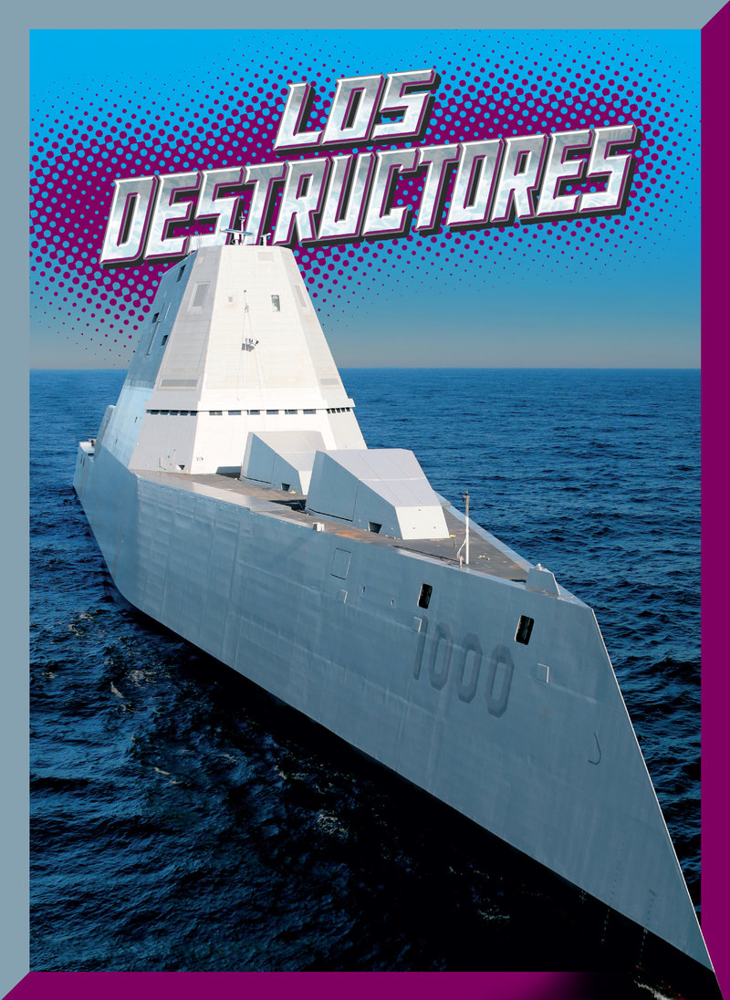 Los destructores