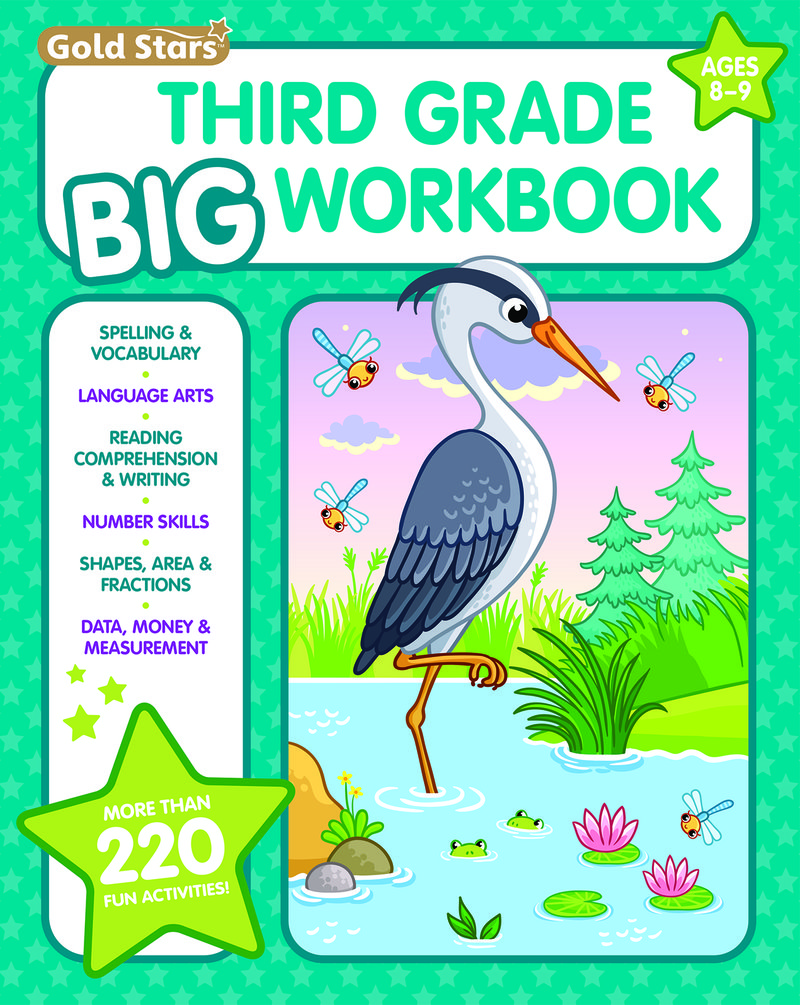 3rd Grade BIG Workbook All Subjects for Kids 8 - 9 includes 220+ Activities, Spelling, Grammar, Reading Comprehension, Writing, Math, and More
