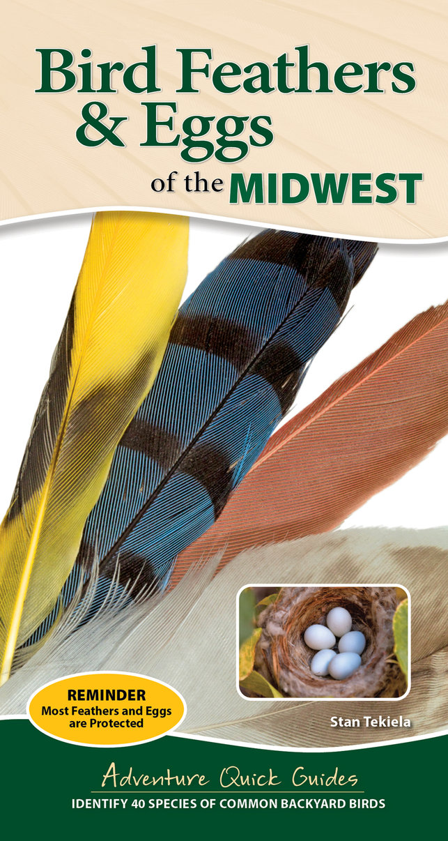 Bird Feathers & Eggs of the Midwest