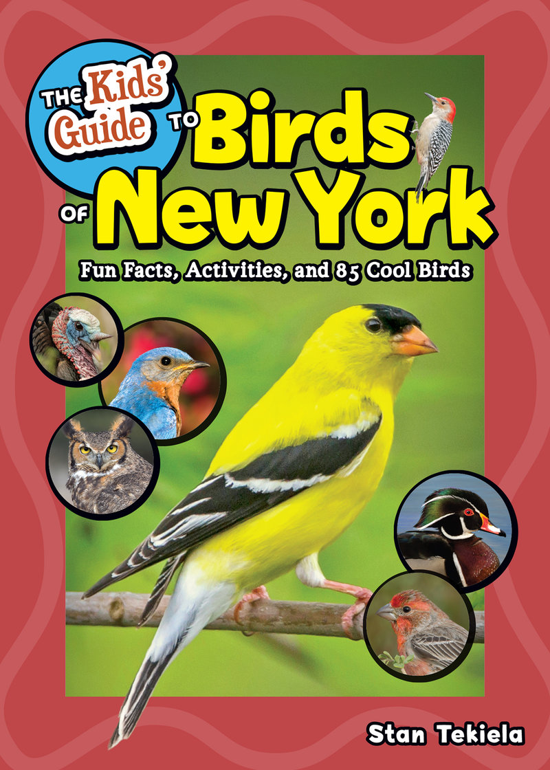 The Kids' Guide to Birds of New York