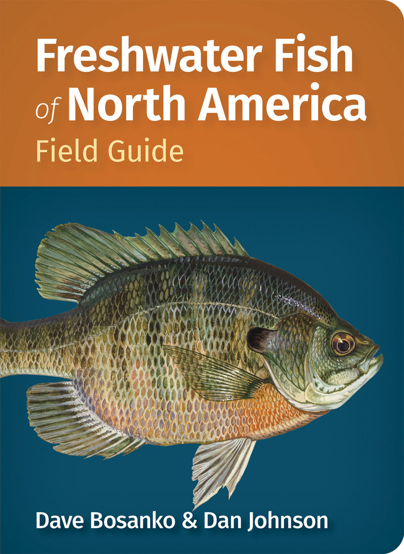 Freshwater Fish of North America Field Guide