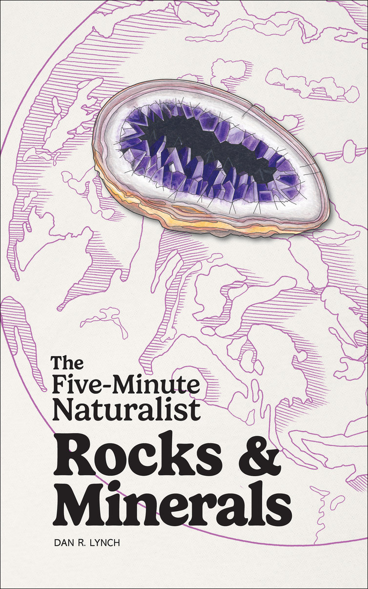 The Five-Minute Naturalist: Rocks & Minerals
