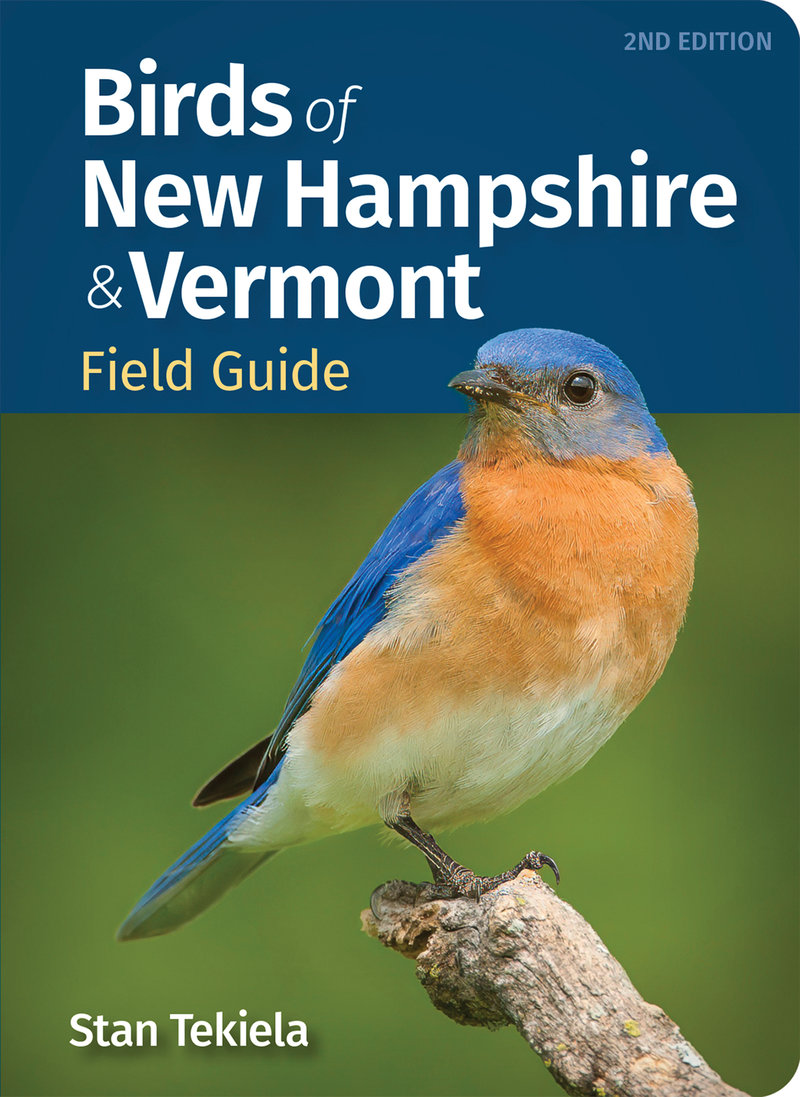 Birds of New Hampshire & Vermont Field Guide