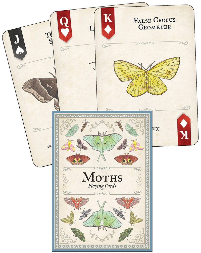Moths Playing Cards