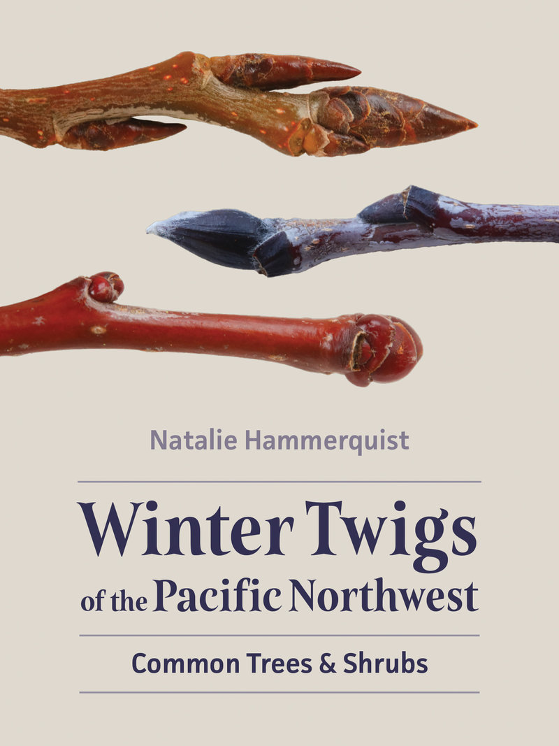 Winter Twigs of the Pacific Northwest