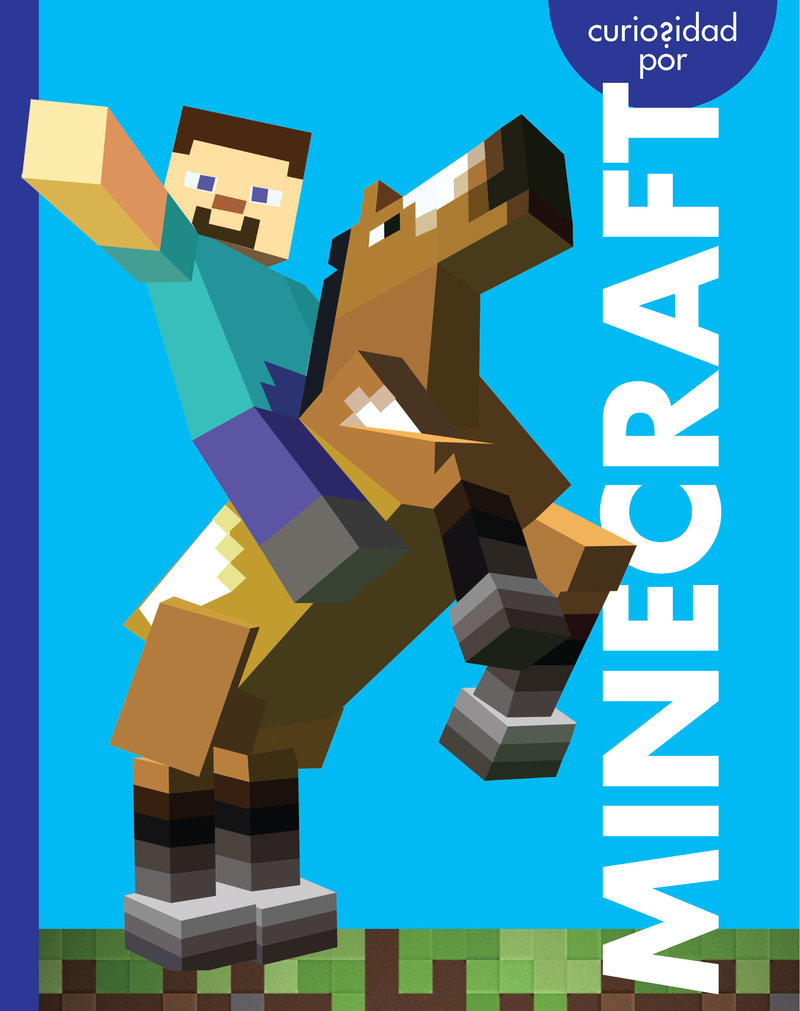 Curiosidad por Minecraft