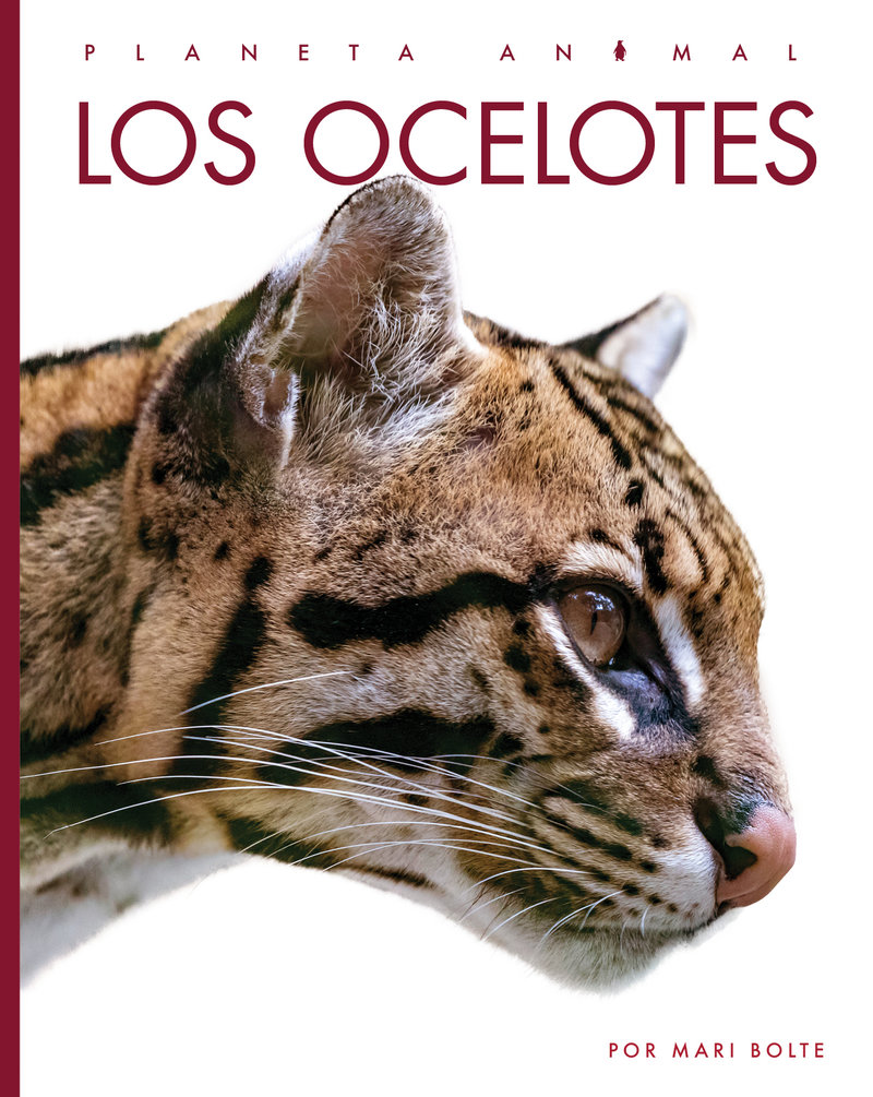 Los ocelotes