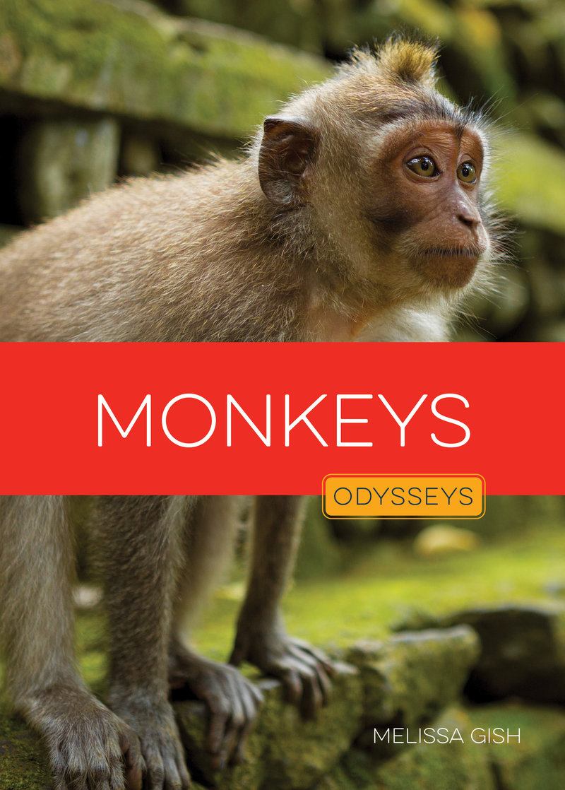 Monkeys