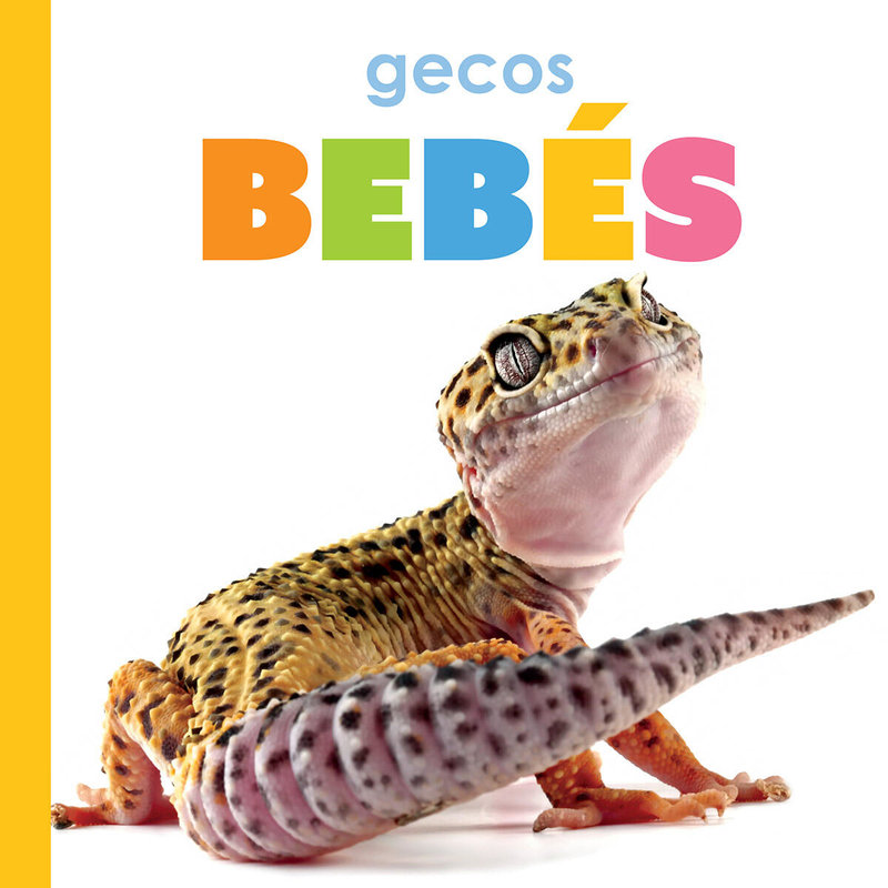 Gecos bebés