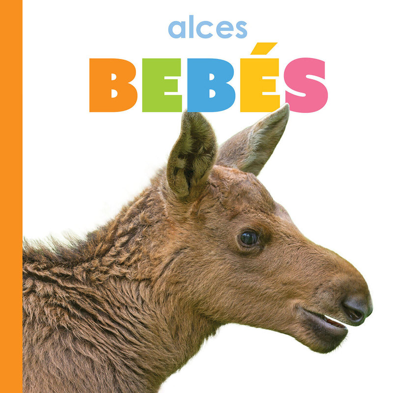 Alces bebés