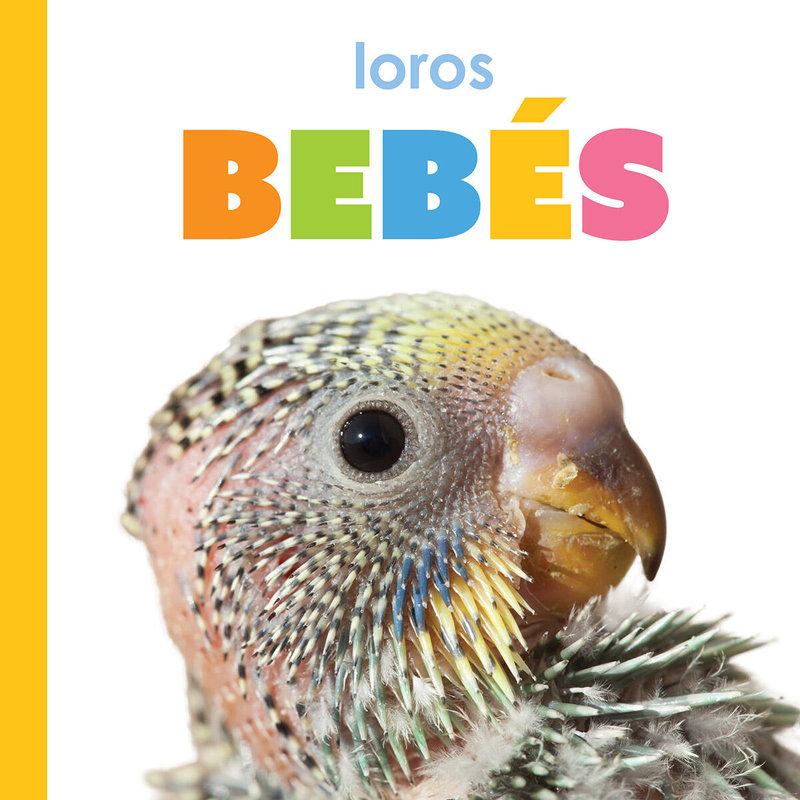 Loros bebés