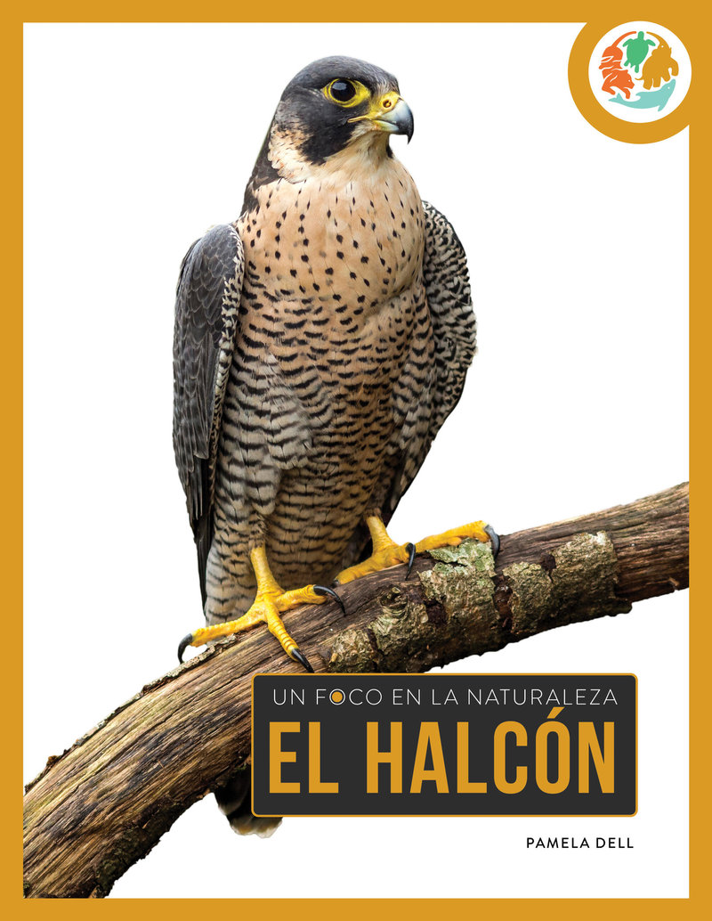 El halcón
