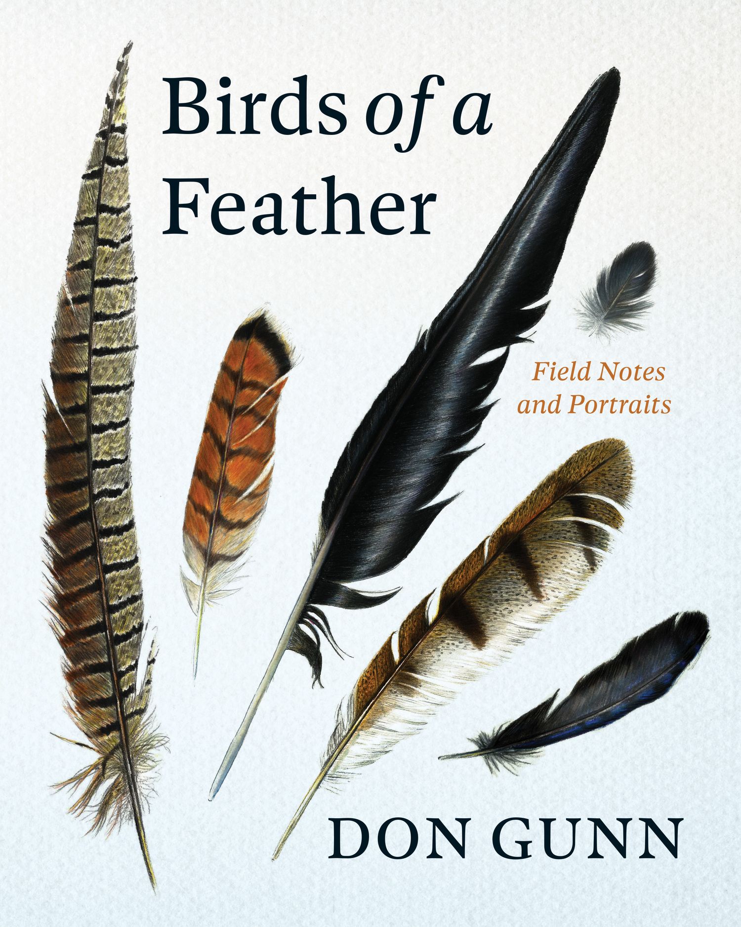 Birds of a Feather