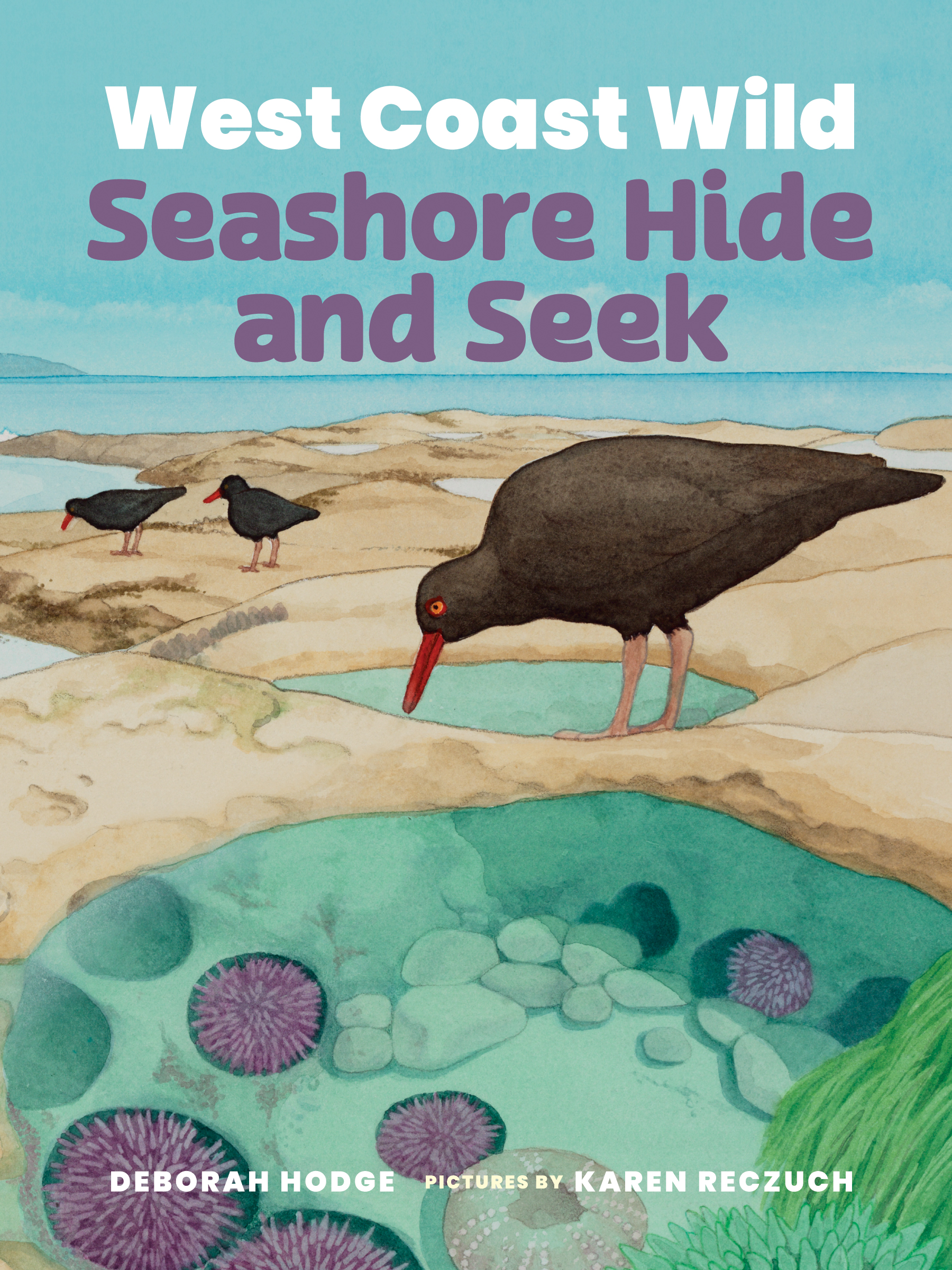 West Coast Wild Seashore Hide and Seek