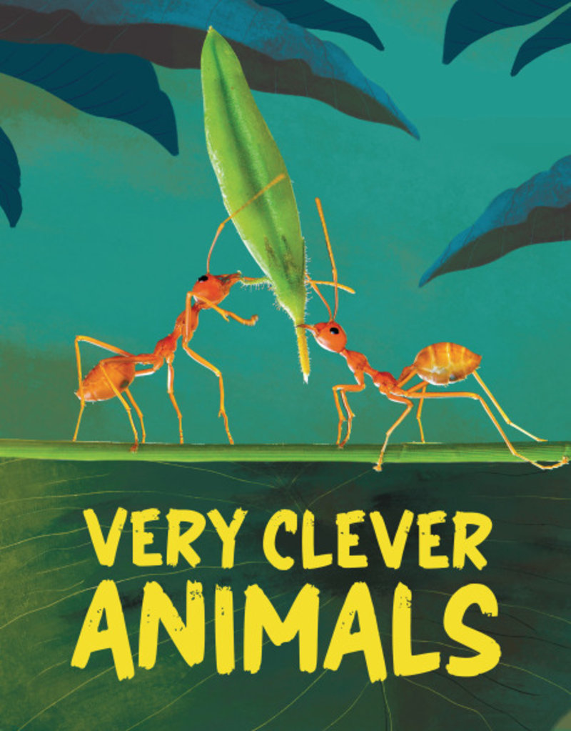 Very Clever Animals